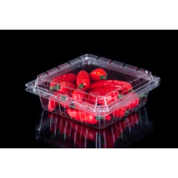 New Clear Plastic Fruit Packaging Box