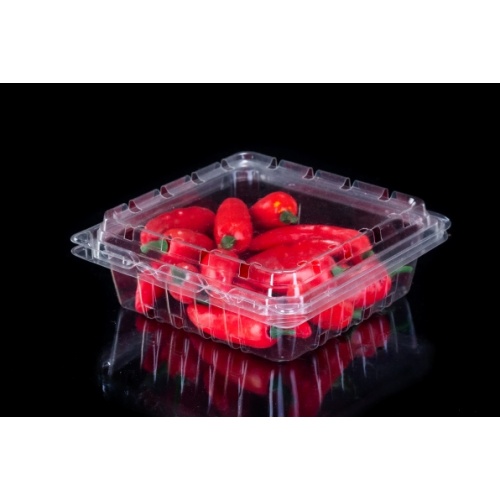 Nouvelle boîte d'emballage de fruits en plastique transparent