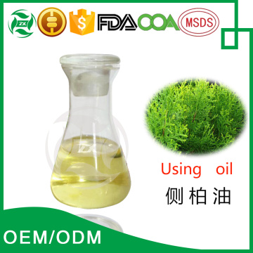 OEM factory pure using oil arbor vitae oil