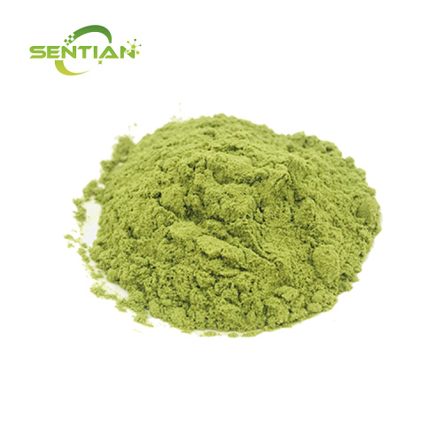Premium Seaweed Extract Benefits