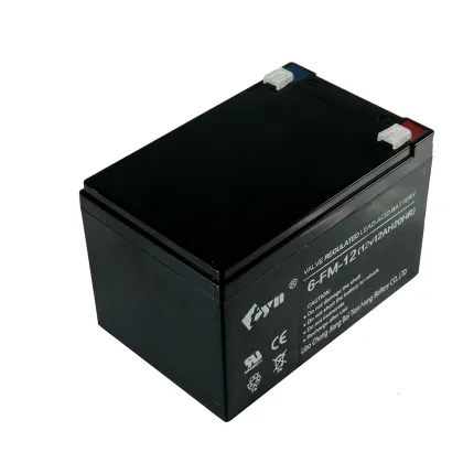 12V 12Ah Trojan Lead Acid Battery for Inverter and Sprayer