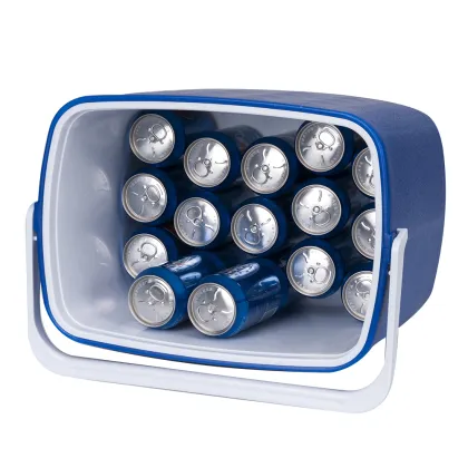 Innovative Igloo Cooler Box: High Quality at Competitive Price - 20UL