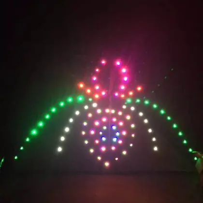 Hot Sale Fancy LED Kite Surfing Delta Kite