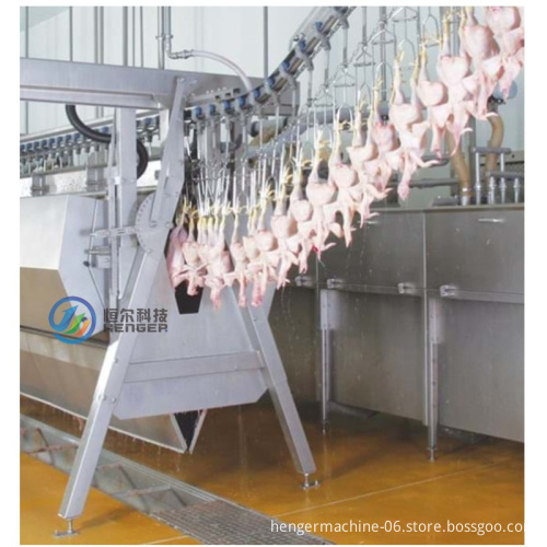 Chicken Slaughter Machine 5000: Poultry Slaughterhouse Equipment