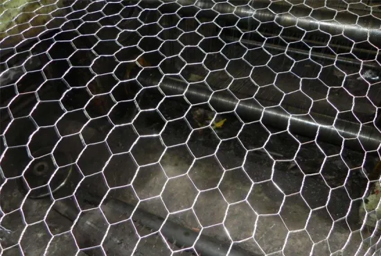 Hexagonal Wire Netting - Weave before Hot-dipped Galvanized