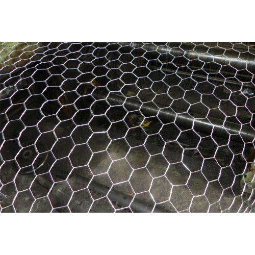 Hexagonal Wire Netting Hexagonal Wire Netting - Weave before Hot-dipped Galvanized Factory