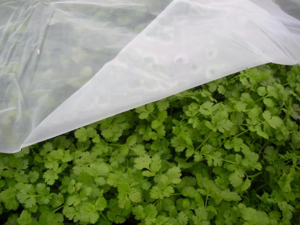 Garden de protection de gel Couverture de la plante de gamme de givre