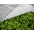 Garden Frost Protection Plant Cover Frost Filt