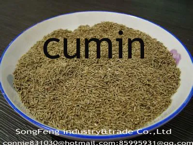cumin seeds,cumin, fennel,jeera seeds