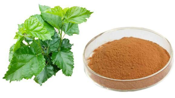 mulberry leaf extract australia