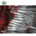 Galvanized Ground Screw Pile N68*560mm