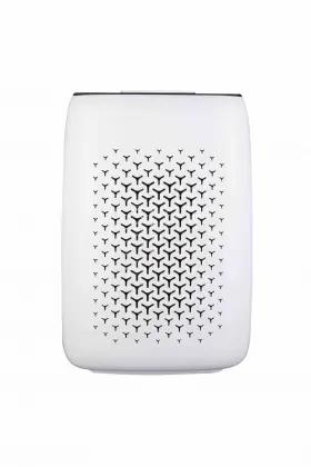 Room Ion air purifier