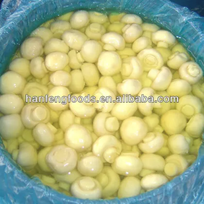 Grade B whole agaricus mushroom in SO2 for Brazil