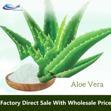 Aloe Vera PE Extrait poudre de poudre d&#39;aloès d&#39;aloès