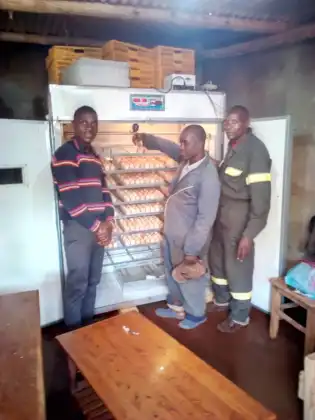 Beyou 10,000 Egg Chicken Egg Incubator Hatching Machine for Farms