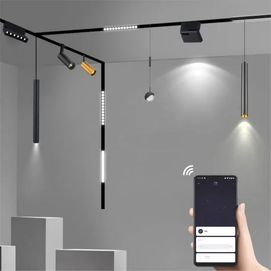 Smart Track Lamp System Tuya Dali Triac CCT Dimming 48V LED Magnetic Track Light