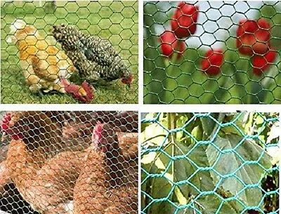 Agricultural Pheasant Mesh Netting Hexagonal Wire Netting