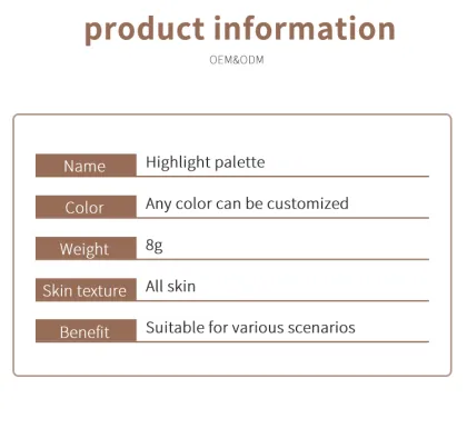 High Gloss Powder Perfect Makeup Concealer Palette