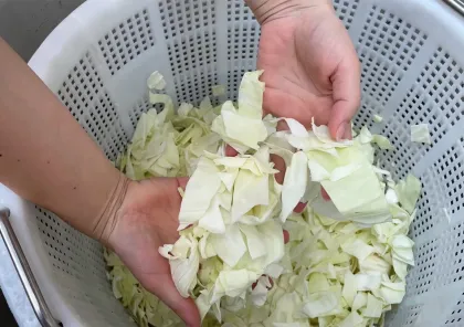 Vegetable dehydration machine French fries dehydrating machine