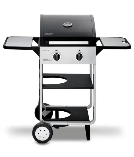 Small 2 Burners Outdoor Gas Grill with Wheel