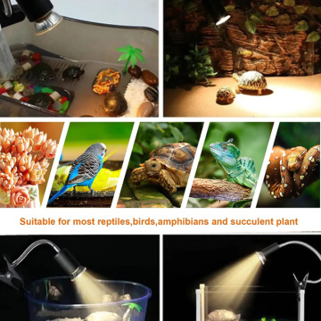 Reptile Grow Lights avec un luminaire UVB UVA