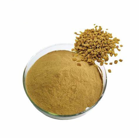 Natural Fenugreek Seed Extract Fenugreek Saponins
