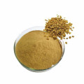 Natural Fenugreek Seed Extract Fenugreek Saponins