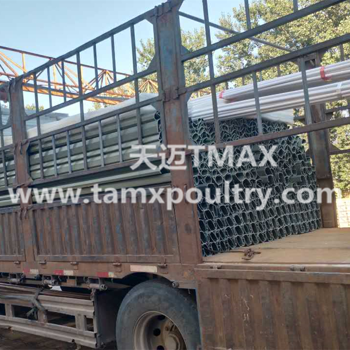 Feed Trough Poultry Farming Equipment