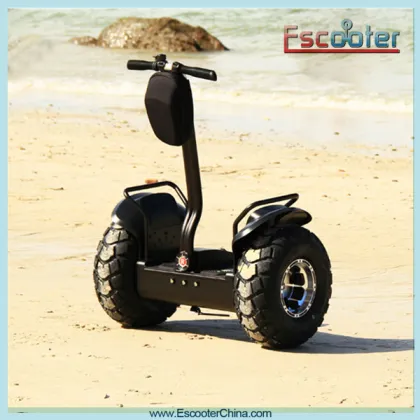 Myway 2 Wheel Adult Electric Scooters for Sale 2000W Motor