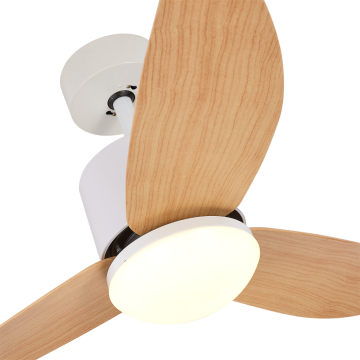 Semplice ventilatore a soffitto bianco