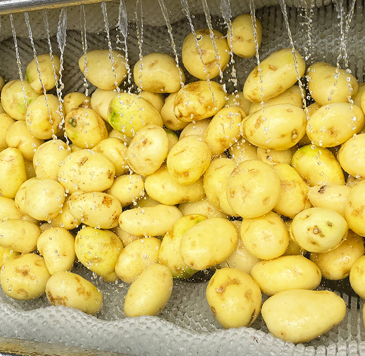 potato washing and peeling machine