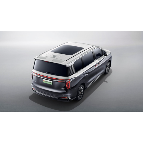 Hongqi HQ9 best multi purpose vehicle