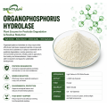 Organophosphorus Hydrolase for Pesticide Degradation