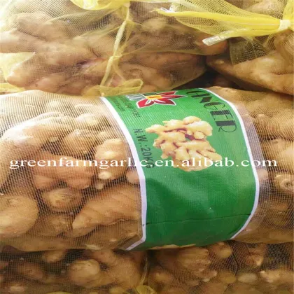 Jining greenfarm fresh ginger