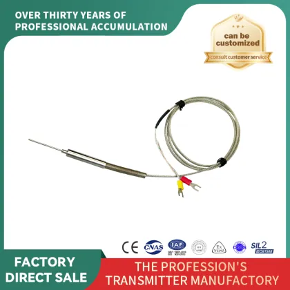 Needle-shaped special thermal resistance lead