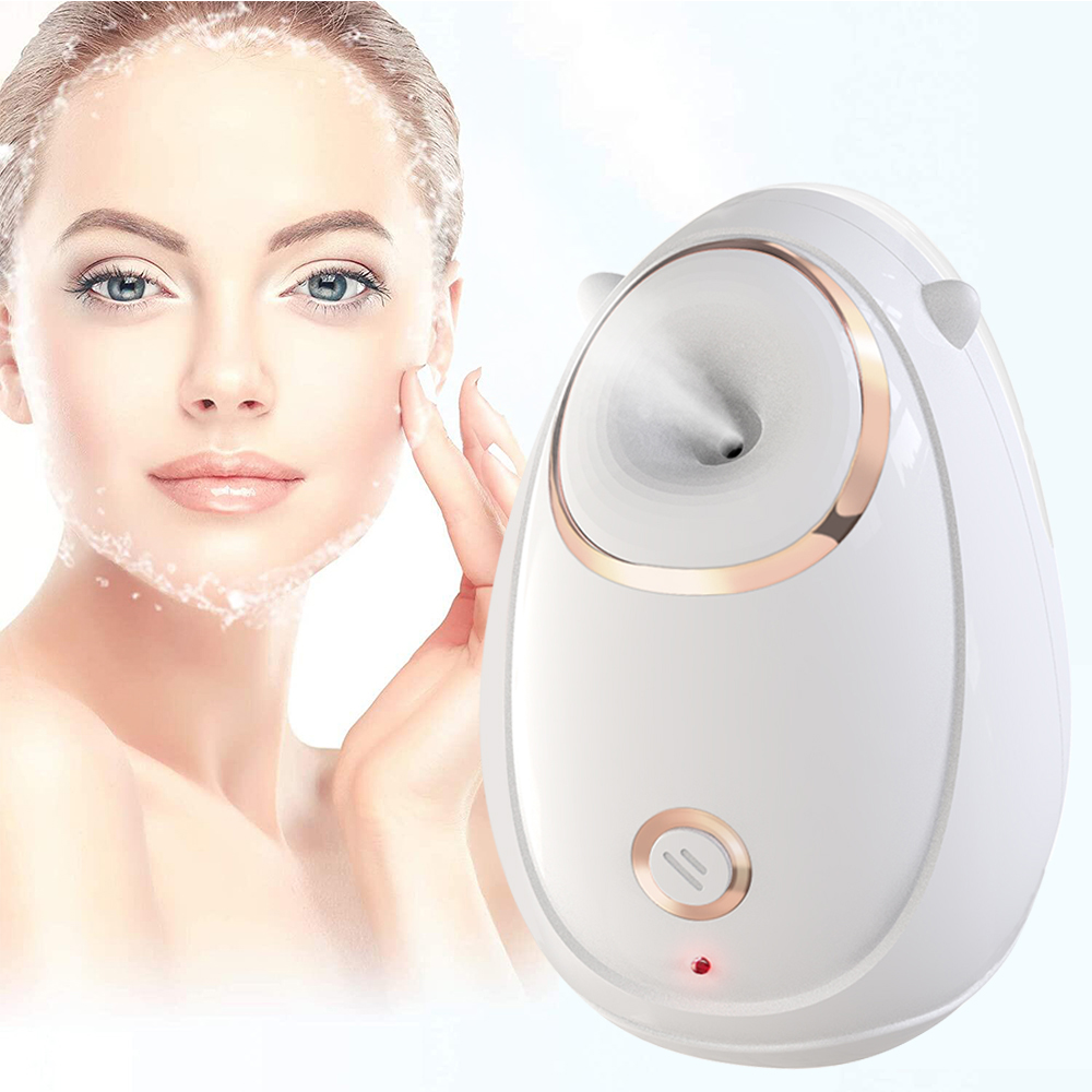 Hydrating Beauty Facial Steamer vaporisant le vapeur pour le visage