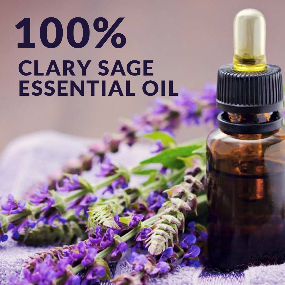 Salvia sclarea Clary Sage Aceite esencial 100% orgánico