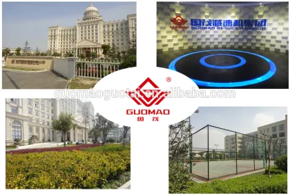 Guomao PV helical bevel gear reducer