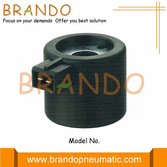 CNG Reducer Repair Kit Solenoid Coil 12V 17W