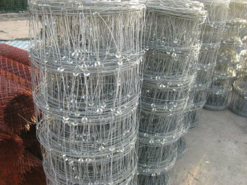 Low-Carbon Iron Wire Material cattle fence