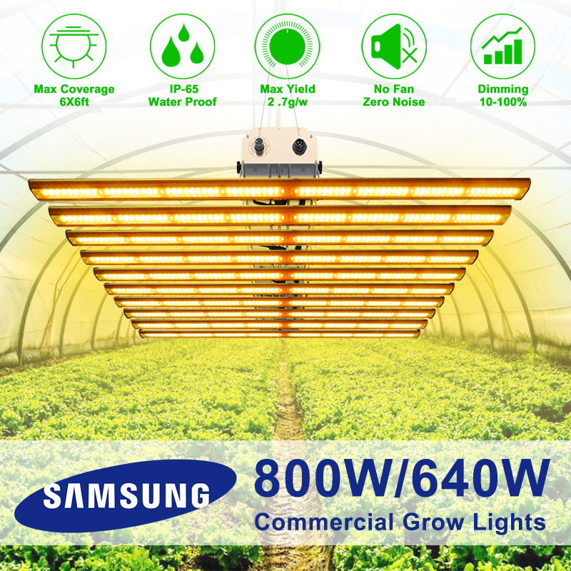 Indoor Grow Light 800w for Greenhouse