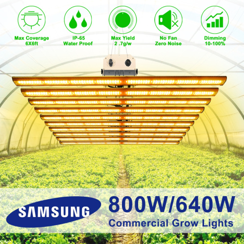 800W Fanless Samsung Quantum LED Grow Light Bar