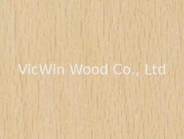 Sliced Cut Natural White Beech Wood Veneer Sheet