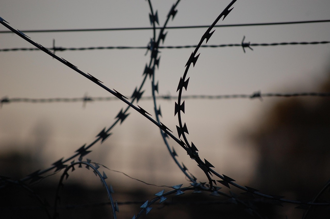 Galvanizado PVC Flat Concertina Razor Wire