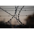 Galvanizado PVC Flat Concertina Razor Wire