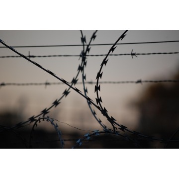 Galvanizado PVC Flat Concertina Razor Wire