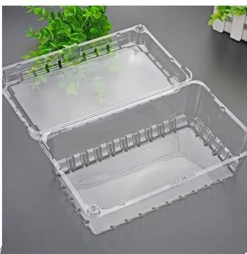 Compostable bio plastic PLA
