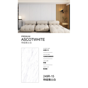 سطح جلد البلاطة الصخرية درجة خاصة