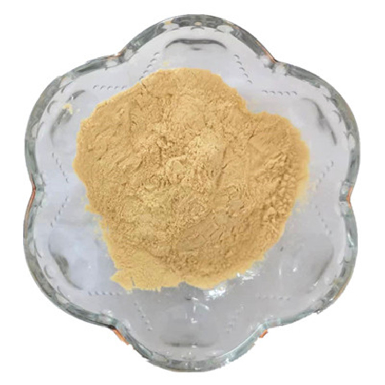 Food Grade Loquat Powder