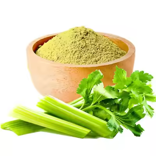 Vegetable Celery Extract Celery Powder